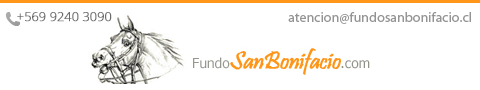 Fundo San Bonifacio, pasión por lo nuestro.